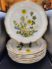 FRESH FLORAL GARDEN CLUB Set of 7 Rim Plates 10.5” Mikasa Japan Stoneware 70s