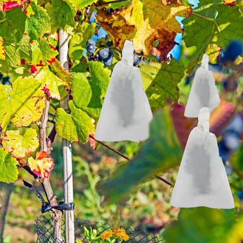 100 Pcs Grape Packaging Bag Fruit Protective Bags Protection Grow - Picture 11 of 12