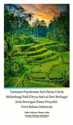 Mediapro - Tanaman Pepohonan Anti Hama Untuk Melindungi Padi Oryza Sa - X555z