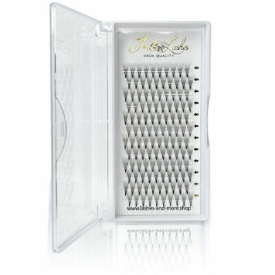 10D Wimpern Fächer C/D -Curl 0,07 Stärke Volumen Lashes Russian Volume 120 Stück