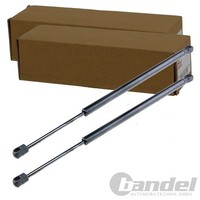 2X NTY Gasfedern KOFFERRAUM-LIFTER Passend FüR Ford Focus | AE-FR-012