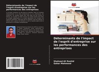 DéTerminants De L'impact De L'esprit D'entreprise Sur Les Performances Des...