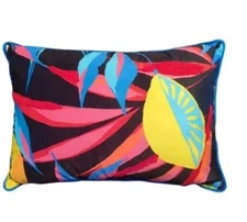 Tabitha Brown Throw Pillow Tropical Lemon Bright Colors 20 X 14 Target 2022 Pink