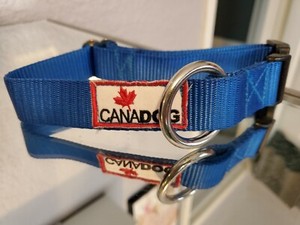 canadog harness