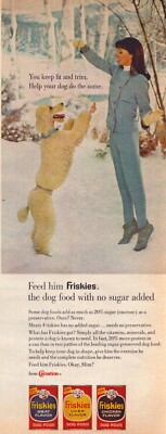 1967 Friskies Dog Food Print Ad Standard Poodle In Snow Carnation
