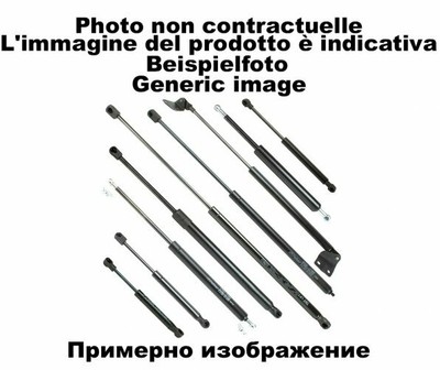 Molla A Gas Per Portellone – Ricambio Per Ford Focus 2004-2008, TarosTrade 229-0247-N-83995