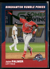 Jaylen Palmer  2023 Binghamton Rumble Ponies Team Set 