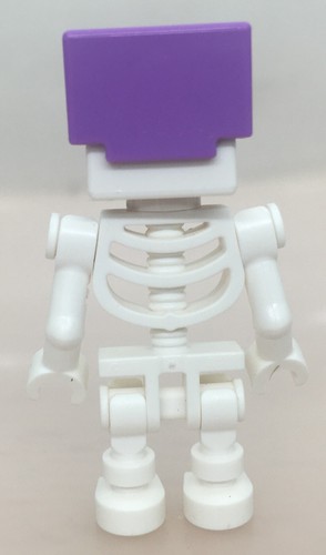 LEGO ® Minifigura Minecraft Skeleton 21189 21179 21171 662206 21246 - min065 011 - Imagen 9 de 18