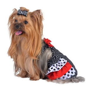 Max S Closet Designer Dog Clothing Ladybug Romper Nwt Ebay