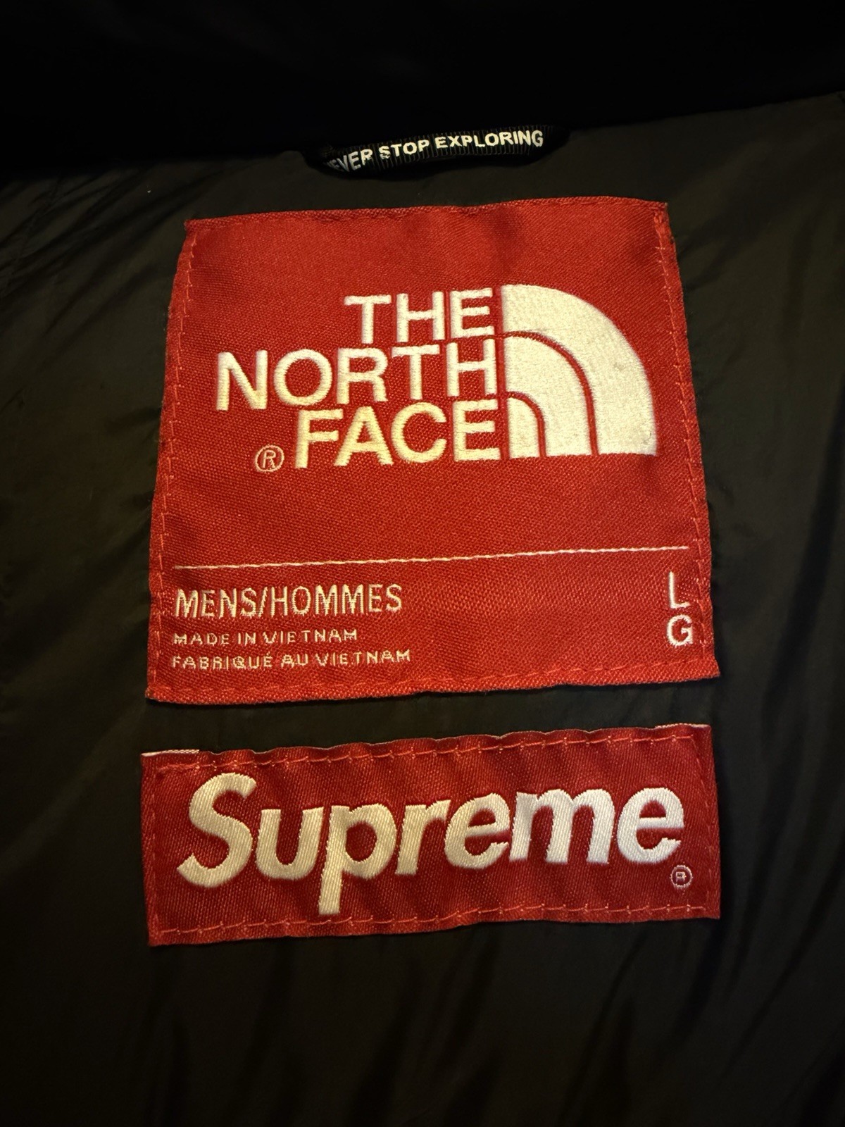 SUPREME X THE NORTH FACE S LOGO SUMMIT SERIES HIMALAYAN PARKA (LARGE)… image 5