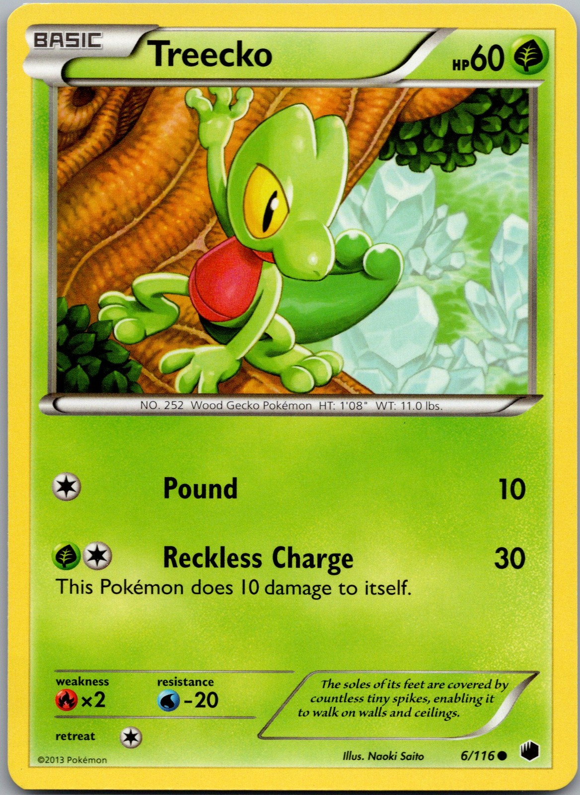Treecko Common Plasma Freeze 6/116 NM