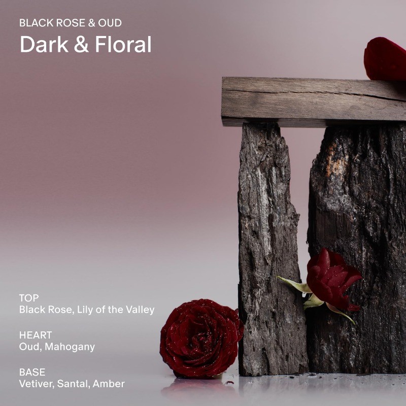 Salt & Stone Black Rose Oud 3.4 Oz 100 Ml Body and Hair Fragrance Mist