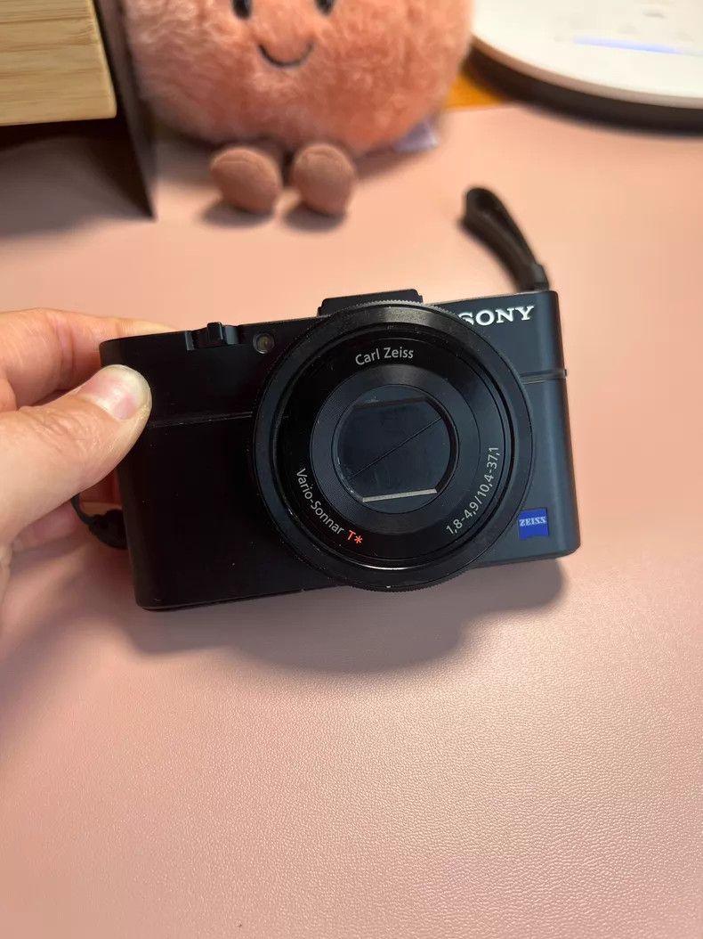 Sony Cyber-Shot RX100 M2 RX100 II 20.2 MP Digital Camera Flip