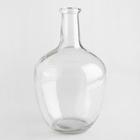 Long Neck Clear Glass Vase By World Market Long Neck Clear Glass Vase By World Market