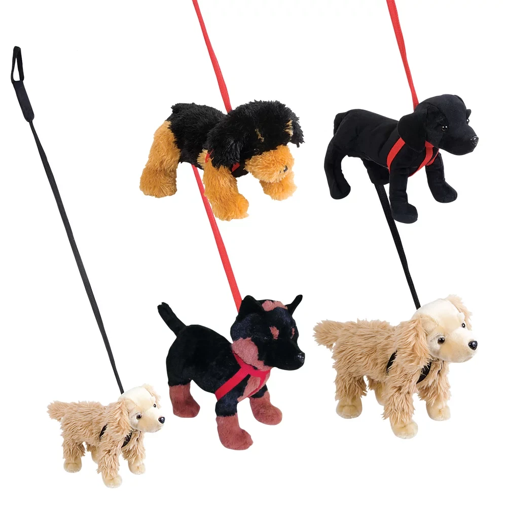 Toy dog top on leash
