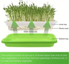 2Pcs Seed Sprouter Germination BPA Free Nursery Tray for Garden 12.72"x9.25"