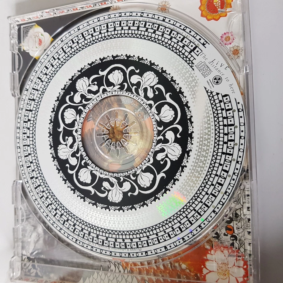 Live Dolphins Cry Distance Run To the water Sparkle Sun Voodoo Lady Music CD - Image 3 of 4