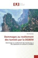 Petr Prochazka | Dommages Au RevêTement Des Tunnels Par La Dgbem | Taschenbuch