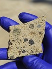 NWA 15339 Diogenite Polymict Breccia Meteorite 20.035g Part Slice COA — photo 9