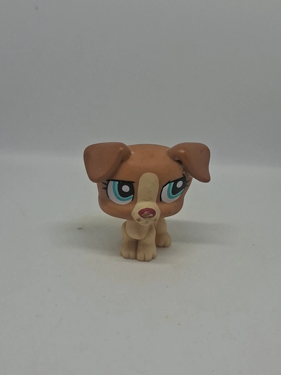 PETSHOP CHIEN COLLEY N° 1262 yeux vairons LPS HASBRO nintendo rare EUR