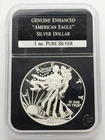 2013-W American Silver Eagle Enhanced Proof $1 1oz Silver ASE Coin w/ Holder