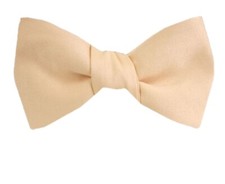 Men's Solid Satin Self Tie Bowtie- NWT