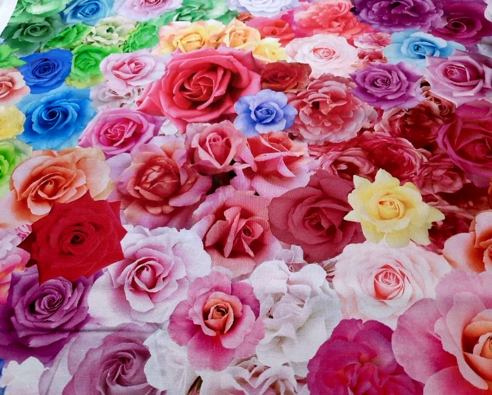 1 1/2 Yds Gradients Parfait #33640 Moda Fabrics Multicolor Packed Roses Cotton - Image 2 of 4