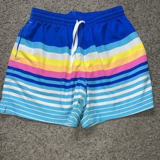 NWOT Chubbies The Newports Swim Trunks Men  s Medium Striped Mesh Lined Shorts