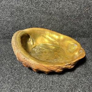 Vintage Natural Abalone Trinket Dish 8" x 6"