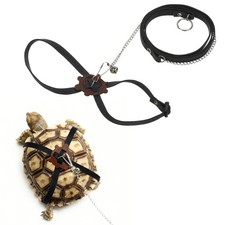 Tortoise Leash Harness with Bell,  Leather, Small, Black 