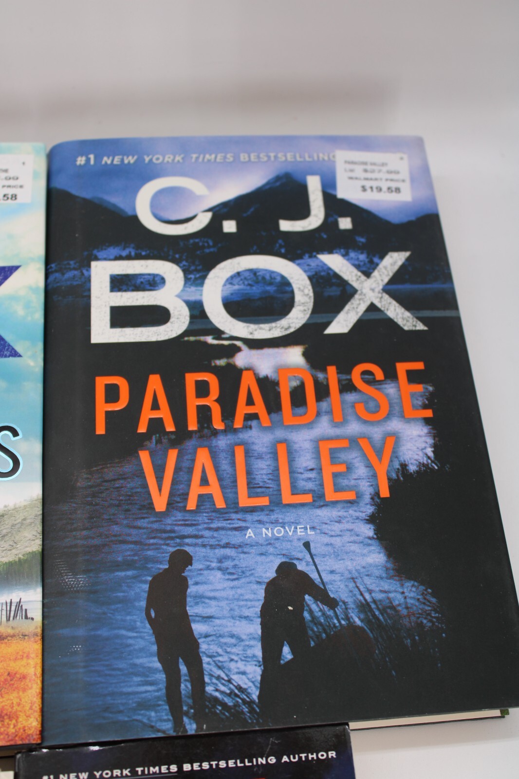 C. J. Box Novels Lot Of 9 Joe Pickett Series Dewell + Thriller Mystery