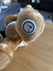 Official Pittsburgh Steelers Stuffed Bear w/Logo Shirt & Plastic Logo on Foot — photo 2