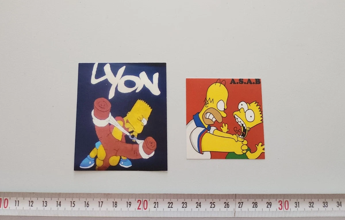 Écharpe Supporter Olympique Lyonnais (OL) - Acrylique, Gones, Vintage
