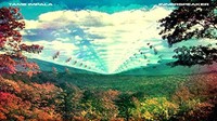 Tame Impala - Innerspeaker - Vinyl Record - F600Z