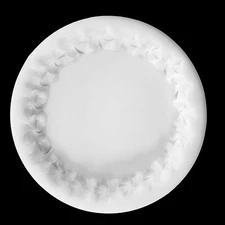 Large FRANGIPANI Edge Coaster Silicone Mold AU