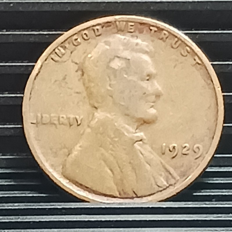 1929 P Wheat Cent Penny Copper Lincoln Avg Circ Philadelphia Minted 