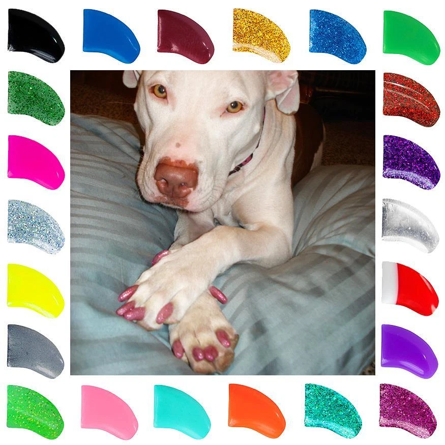 Soft Purrdy Paws Nail Caps for Dog Claws Grooming ~ 6 month supply XTRA ADHESIVE