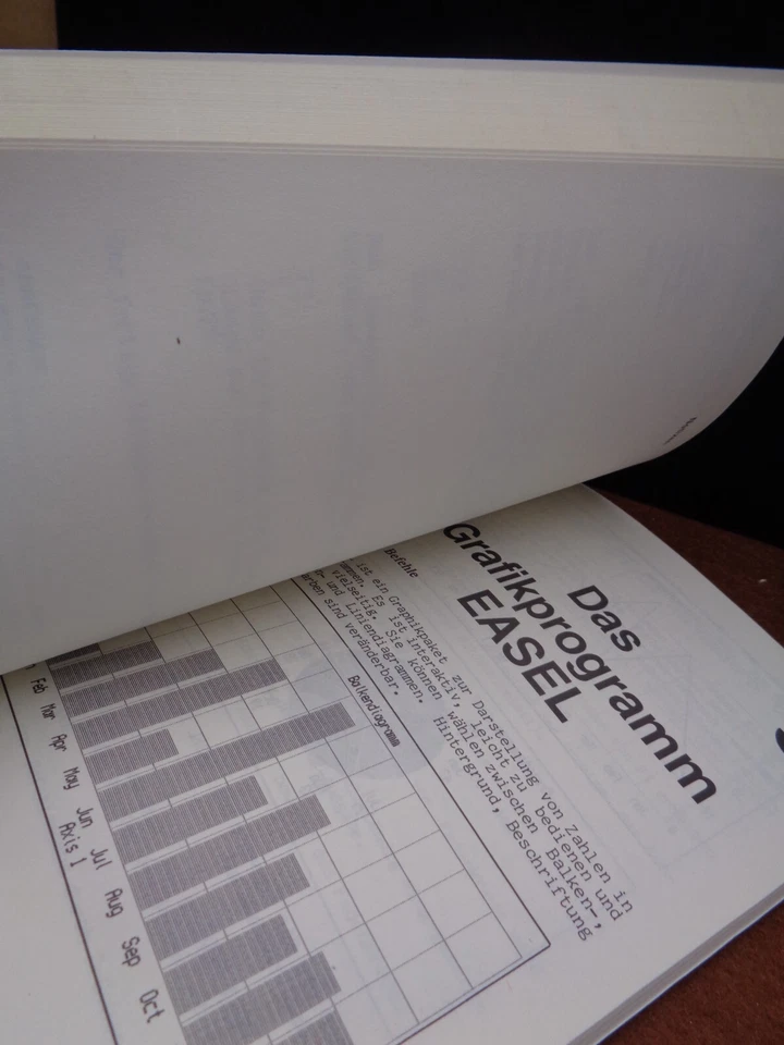 SINCLAIR QL -- ANWENDUNGEN MIT DEM SINCLAIR QL (HOFACKER - BUCH) - Bild 4 von 4