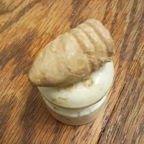 Civil War 58 Caliber Pulled Found Near Chopin, Louisiana.