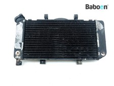 Radiator Yamaha TDM 900 (TDM900)