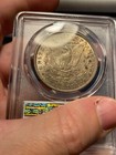 (#101559) Morgan Dollar: 1902 --- PCGS MS 64+ ---  Better date!!! (see video) — photo 4