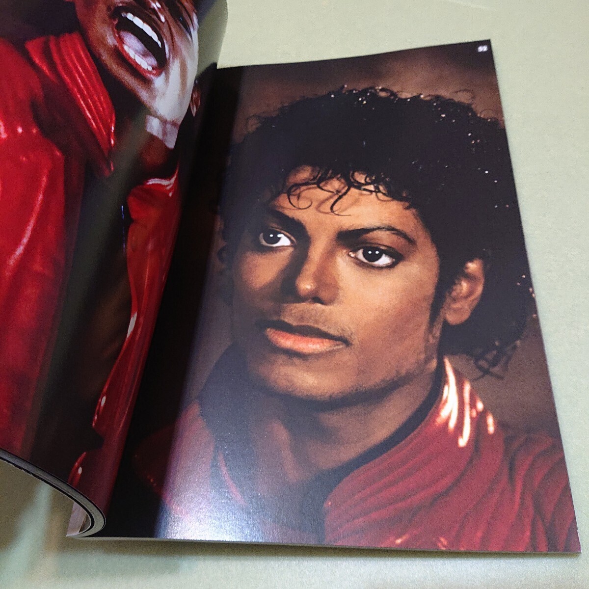 Michael Jackson Thriller 25th Anniversary: ​​The Book | eBay