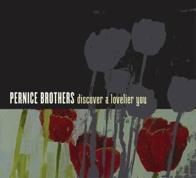Discover a Lovelier You - Audio CD By Pernice Brothers - VERY GOOD