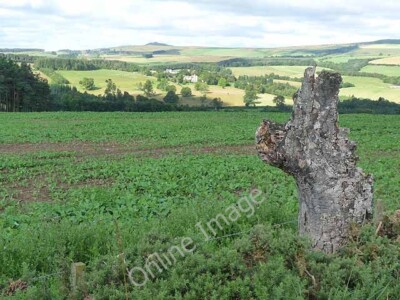 Photo 6x4 Field above Ferniehurst Hundalee Dropping down to Glen Douglas  c2011