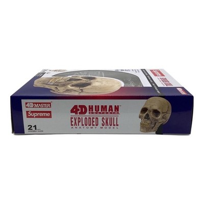 Supreme x 4D Master Human Skull Model Exploded Anatomy Figure Used