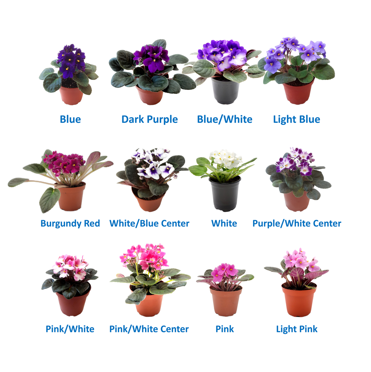 16 inch plastic plant pots 16 Inch Grower Plastic Pot Black – Hug A Plant main image 0