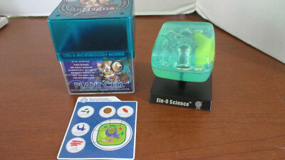 EIN-O SCIENCE BI SIGNS ANIMAL CELL 3-D MODEL w/ Removable Parts