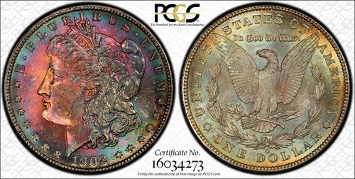 1902-O Morgan Dollar PCGS MS65 Monster Toned 🌈