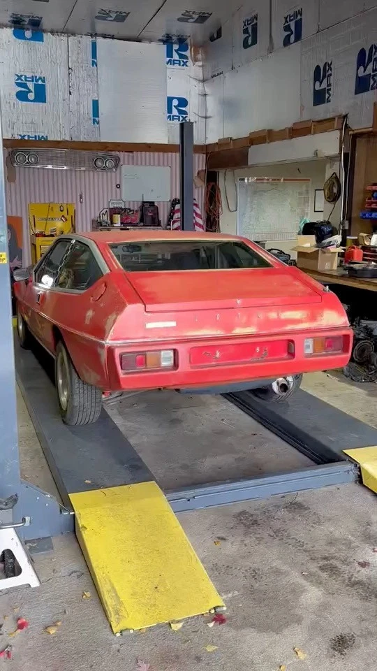 Lotus 1977 otros  Foto 4 de 4