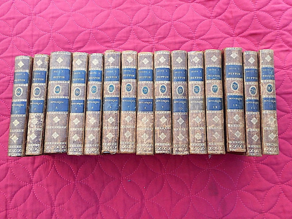 BOTANIQUE Histoire naturelle VEGETAUX LAMARCK 15/15 1803 avec 119 PLANCHES A7 - Photo 2/4